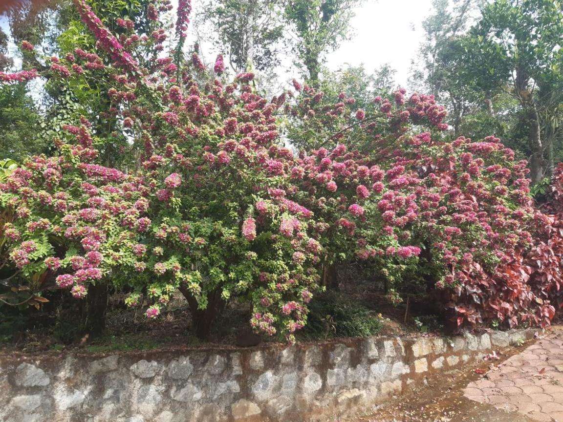Athena Homestay Somvārpet 외부 사진