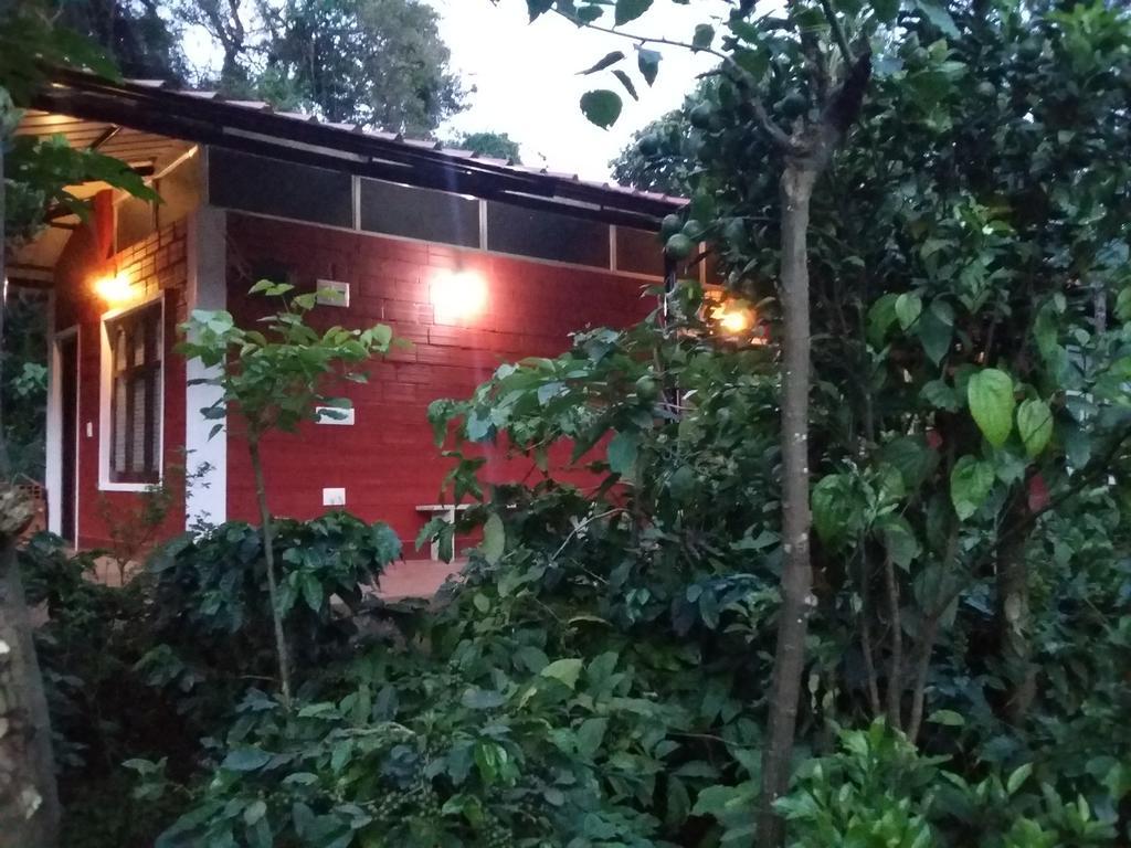 Athena Homestay Somvārpet 외부 사진