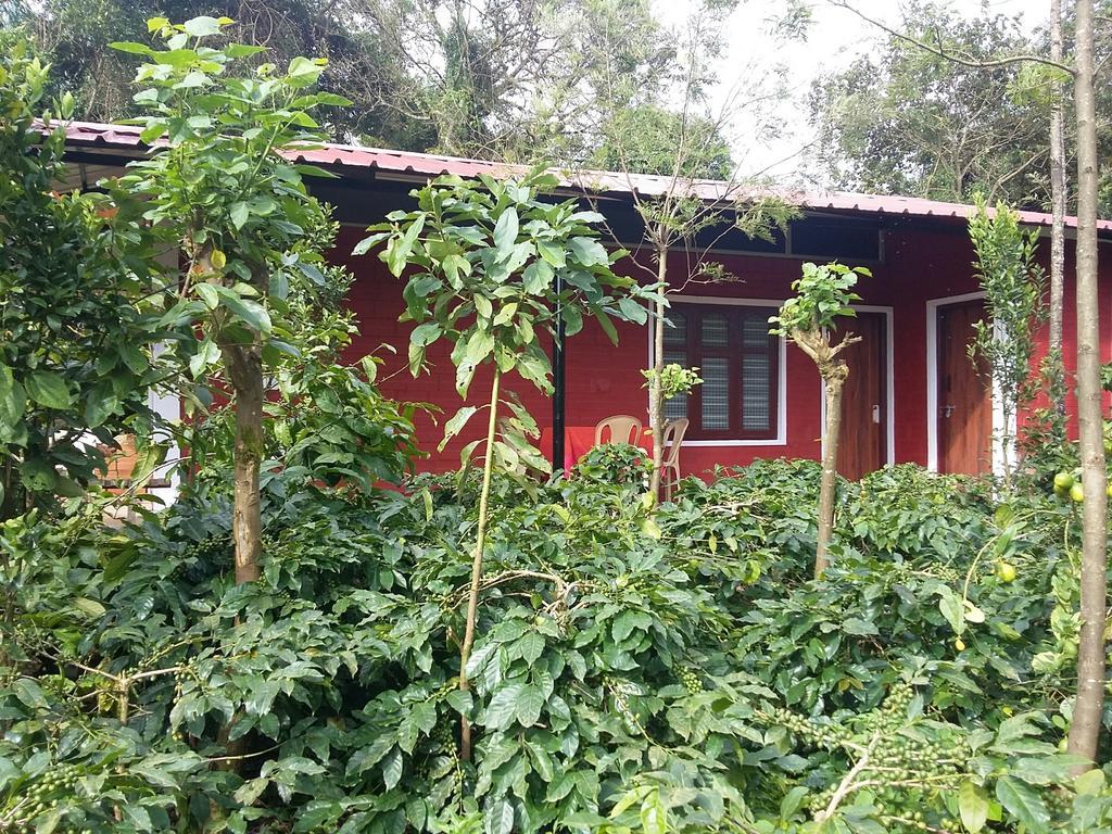 Athena Homestay Somvārpet 외부 사진